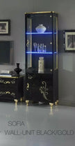 Sofia Italian Black/Gold C/Table,TV, 1 or 2 Doors Italian Furniture Ben Comp