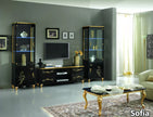 Sofia Italian 1 Door High Gloss Vetrine/Display Unit Black/Gold by Ben Company