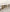 Lucien 1.8 Gold Legs Dining Table with Pandora Gold Sintered Stone Top 2023 NEW